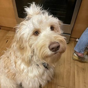 Meet your Posher, Melanie